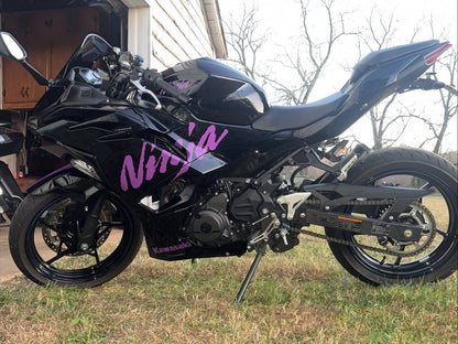 Gloss Purple and Black Kawasaki Ninja500 2024-2025